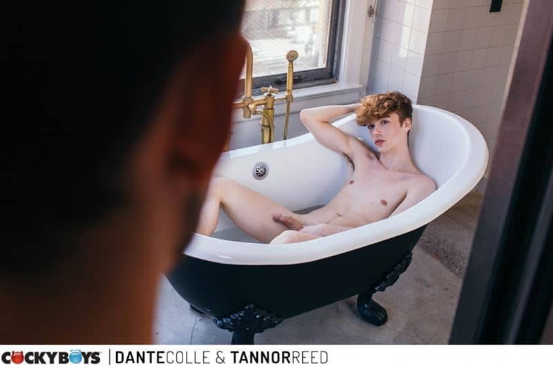 Sexy ripped stud Dante Colle huge dick bareback fucking young twink Tannor Reed hot asshole 014 gay porn pics - Sexy ripped stud Dante Colle’s huge dick bareback fucking young twink Tannor Reed’s hot asshole